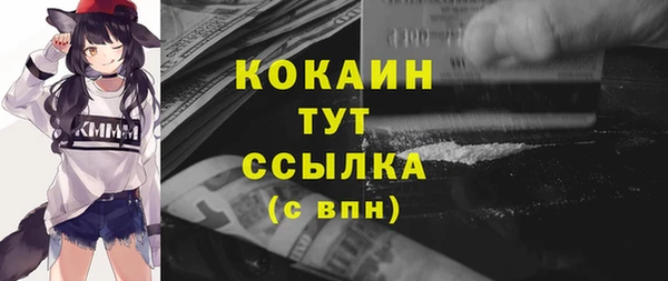 кокс Няндома