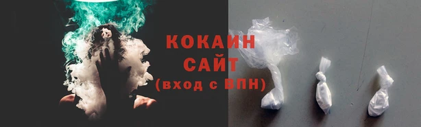 кокс Няндома