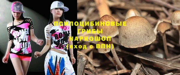 прущая мука Видное
